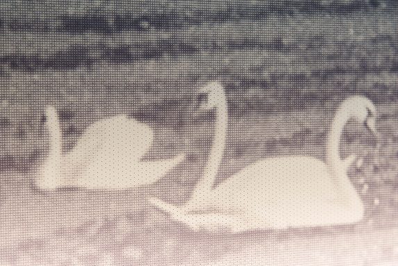 WS Topakustik Wrann 4 Detailaufnahme einer micropferorierten Topakustik® Wandverkleidung